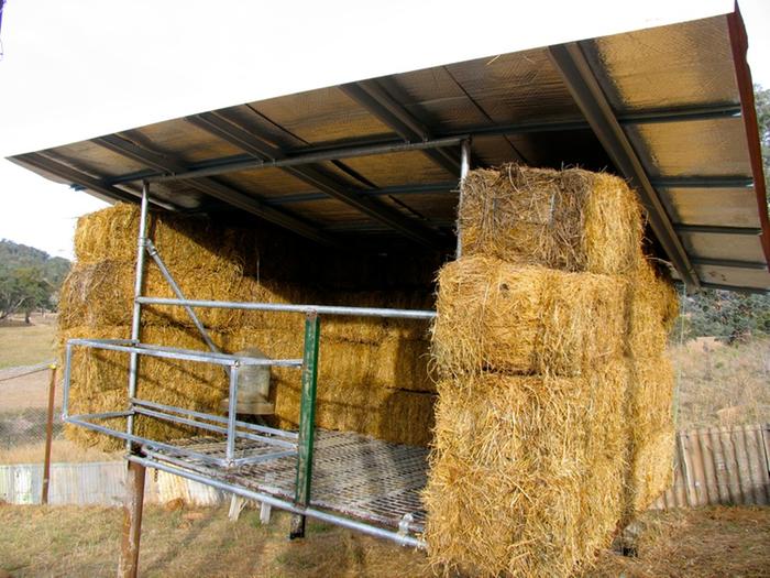 [Thumbnail for North wall of the chicken house under construction. Simple scaffolding with a couple of extra bits welded on for laying boxes and window and door fram.jpg]